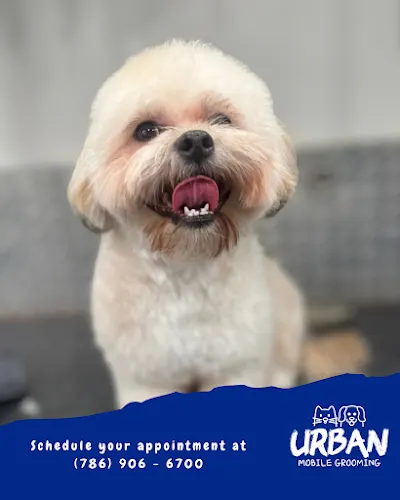 Urban Mobile Grooming - Image 1