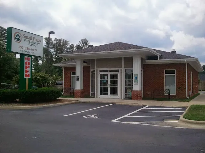 Small Paws Veterinary Clinic - Image 1