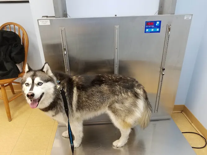 Swansea Veterinary Center - Image 1