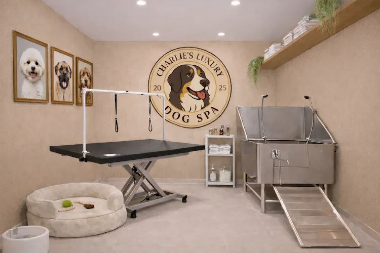 Charlie's Luxury Dog Spa - Image 1