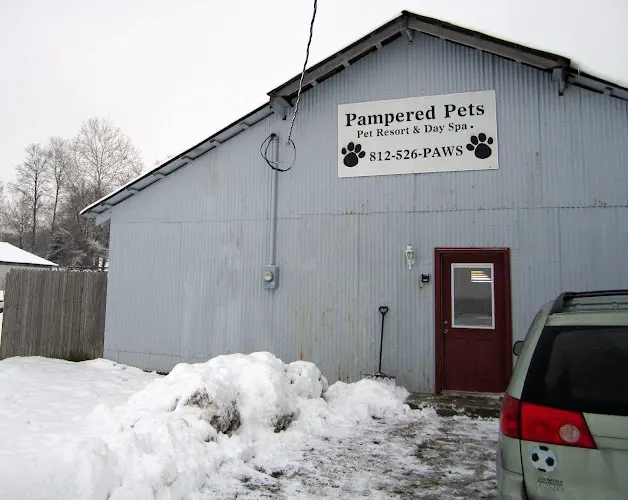 Pampered Pets Resort & Day Spa - Image 1