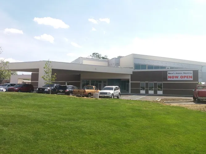 Noah's Westside Animal Hospital in Indianapolis, IN