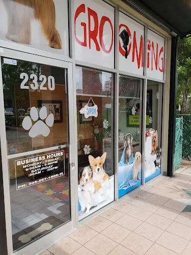 Doggies Spa Grooming in Miami, FL