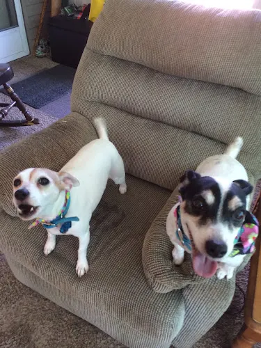 Admiral Peary Doggie Lodge - Image 1