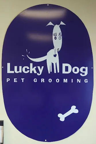Lucky Dog Pet Grooming - Image 1