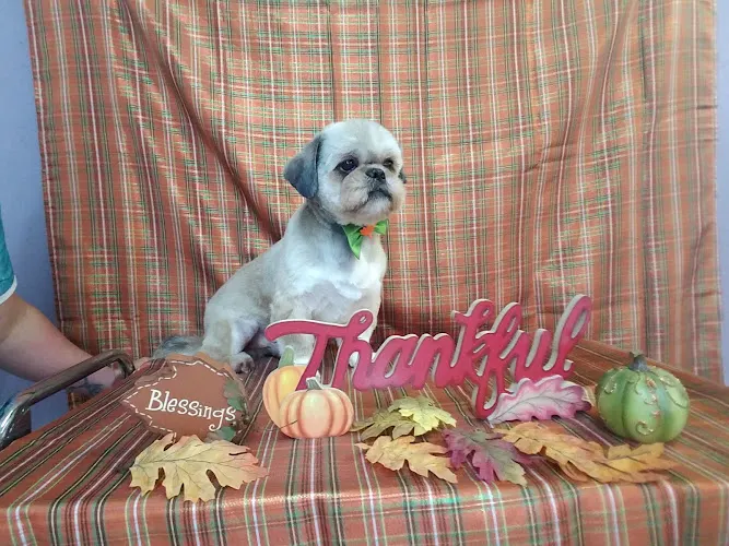 TransFURmations Pet Spa - Image 1