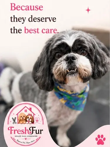 FreshFur house call grooming - Image 1