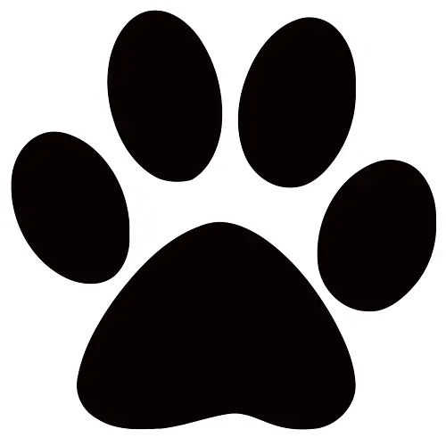 Clean k9 Mobile Dog Grooming (Waynesville, Asheville and Sylva) - Image 1
