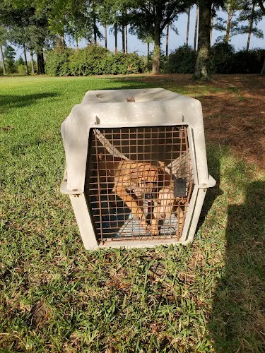 Washington County Animal Hospital - Image 1