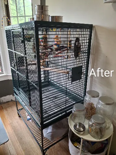The Bird Nerds mobile grooming and cage cleaning L.L.C - Image 1