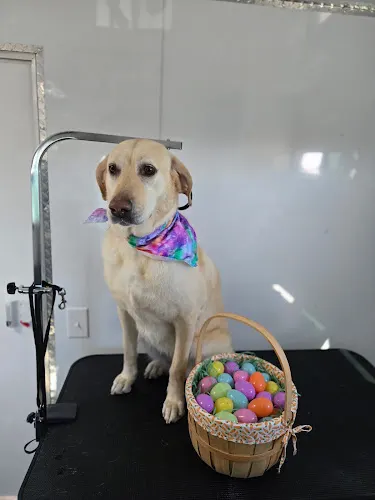 Le Paw Spa Mobile Dog Grooming - Image 1