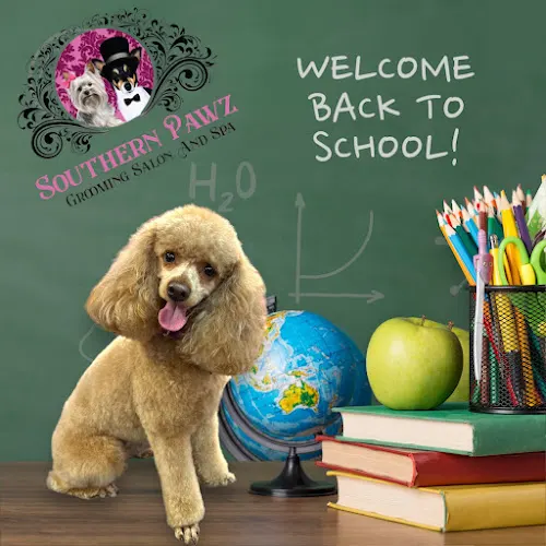 Southern Pawz Spa and Boutique - Image 1