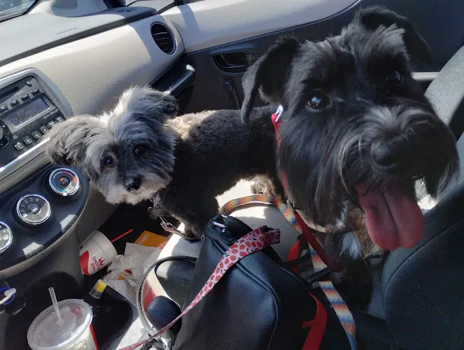 Barkstarz Mobile Pet Grooming - Image 1