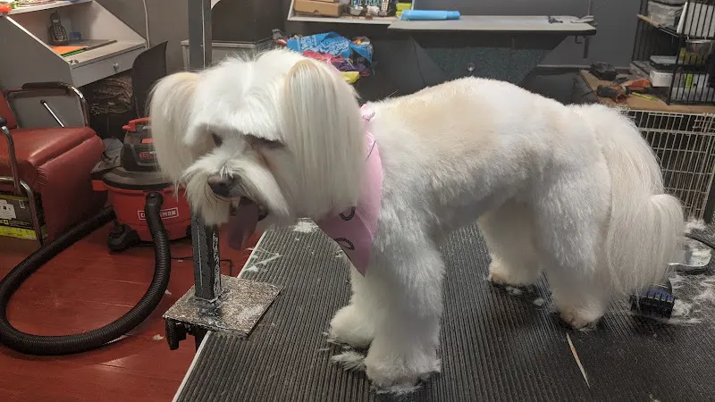 Grooming Works - Image 1