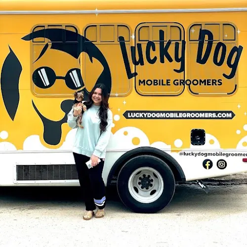 Lucky Dog Mobile Groomers - Clear Lake & Galveston, TX - Image 1