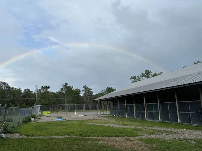 Indian River Pet Resort - Image 1