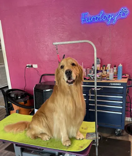 Fur Fusion Pet Salon (formerly Furology) - Image 1