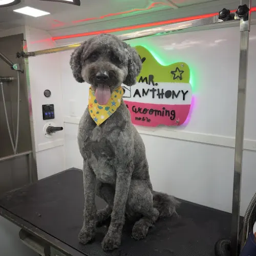 Mr. Anthony Pet Grooming Mobile - Image 1