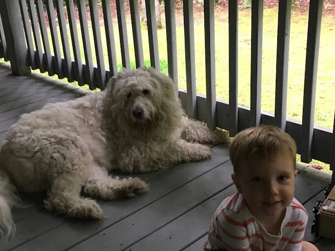 Pets Plus - Image 1