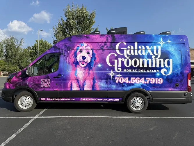 Galaxy Grooming Mobile Dog Salon - Image 1