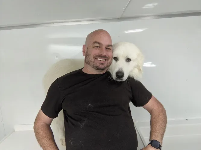 Dog Gone Clean - Image 1