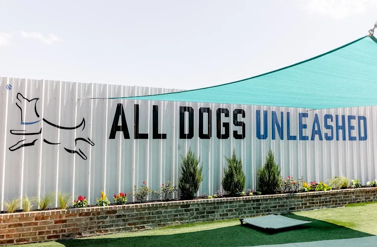 All Dogs Unleashed Dog Training OKC - Image 1