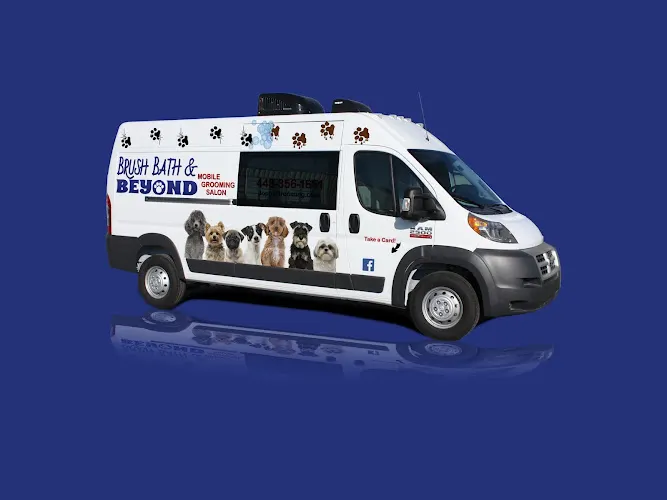 Brush Bath and Beyond Mobile Grooming - Image 1