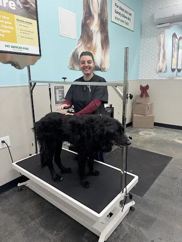 Pet Supplies Plus Port Jefferson Station Grooming - Image 1