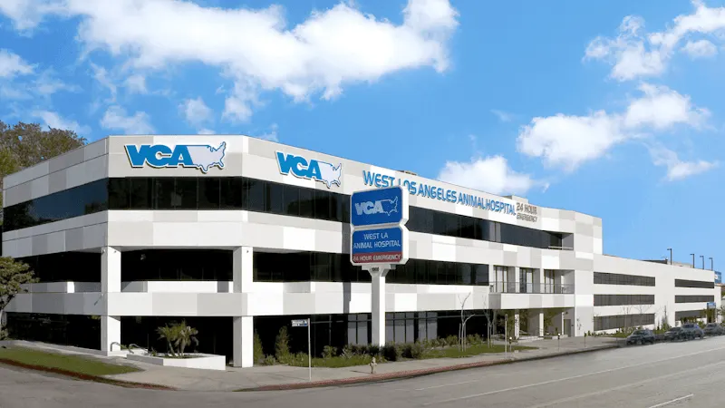 VCA West Los Angeles Animal Hospital - Image 1