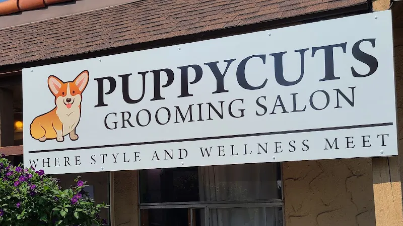 The Dog Barber (formerly PuppyCuts Grooming Salon) - Image 1