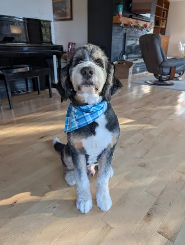 Wuff Da Dog Wash & Salon - Image 1