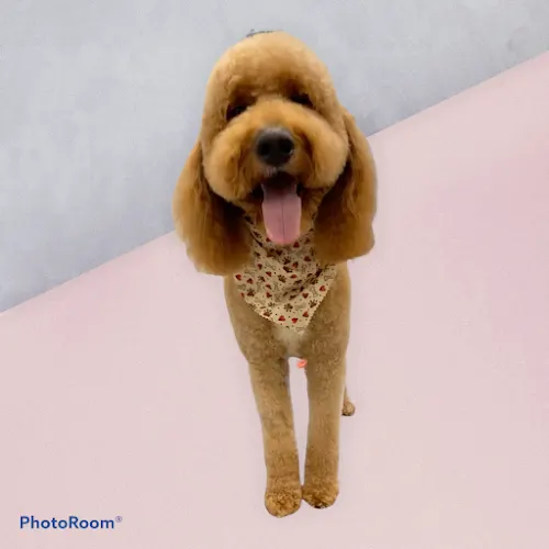 Pullum's Paw Service LLC - Image 1