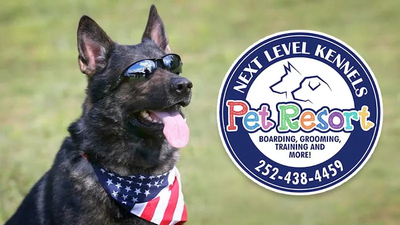 Next Level Pet Resort & Mobile Grooming - Image 1