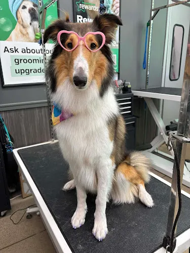 Pet Supplies Plus Austin - Image 1