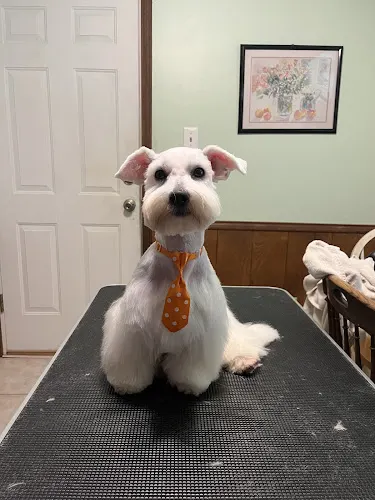 Pawsome Mobile Pet Spa - Image 1