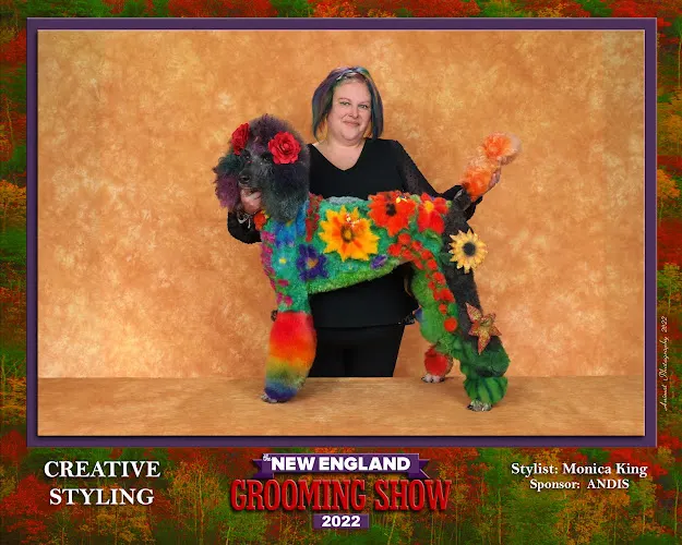 To dye furr grooming studio - Image 1