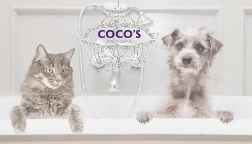 Coco’s Pet Spa Crystal Lake - Image 1