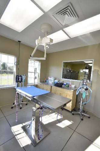Sandhills Veterinary Hospital in Columbia, SC