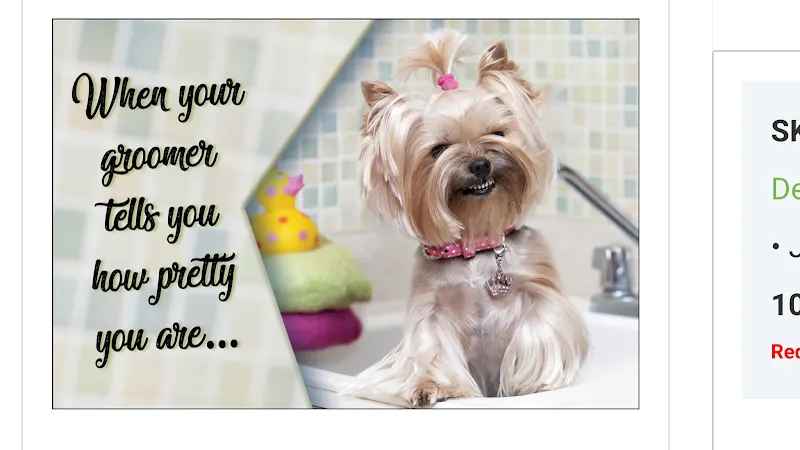 Jeni's Advanced Grooming - Image 1