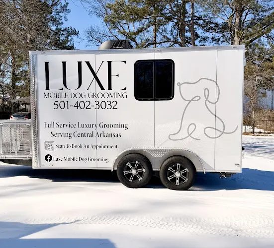Luxe Mobile Dog Grooming - Image 1