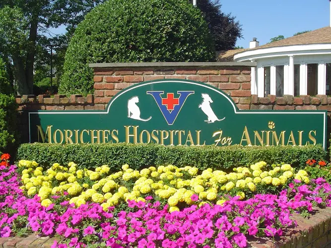 The Moriches Hospital For Animals - Image 1