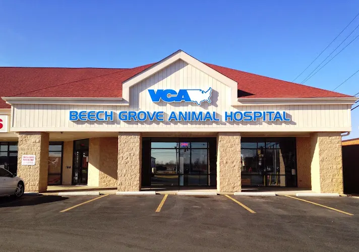 VCA Beech Grove Animal Hospital - Image 1