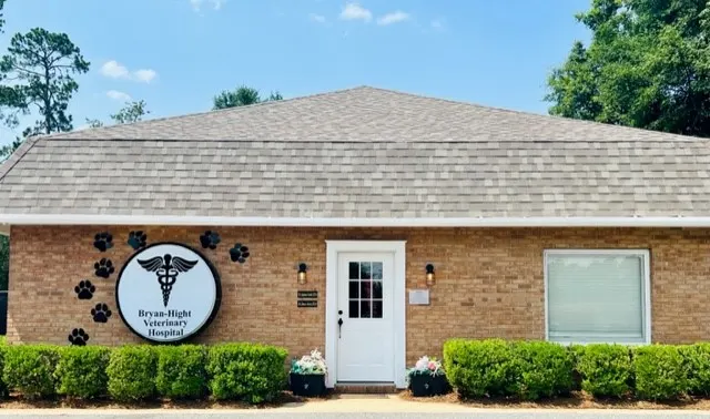 Bryan Hight Veterinary Hospital & Urgent Care - Image 1