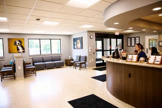 VCA Metzger Animal Hospital - Image 1