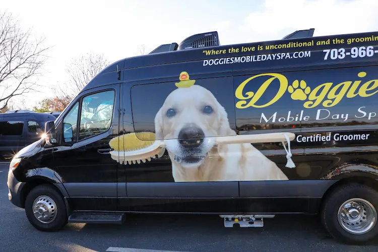 Doggies Mobile Day Spa - Image 1