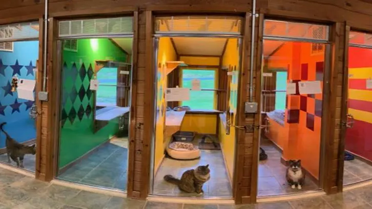 Milton Manor Pet Resort & Spa - Image 1