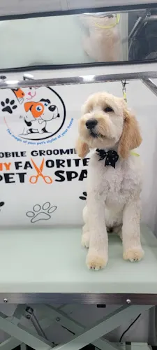My Favorite Pet Spa Mobile Grooming - Image 1