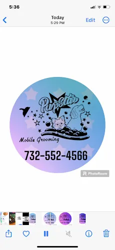 PupStar Mobile Grooming - Image 1