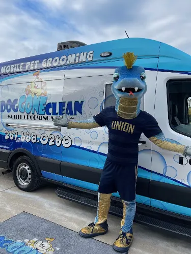 Dog Gone Clean Mobile pet grooming llc - Image 1
