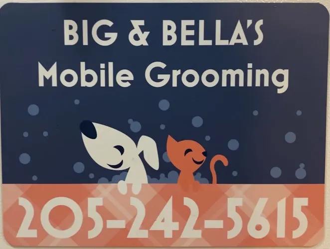 Big & Bella's Mobile Pet Grooming - Image 1